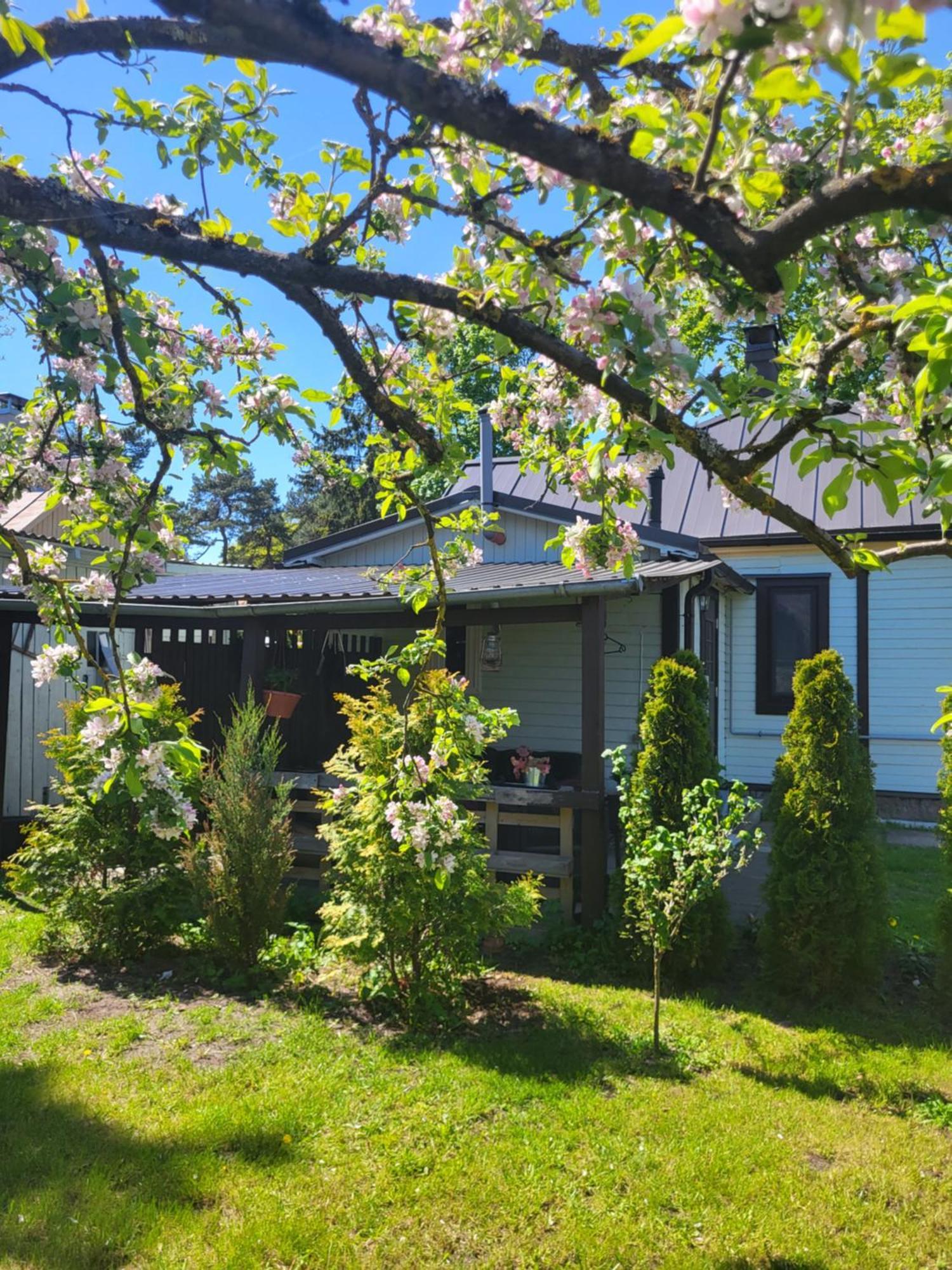 Guest House Sunny Jūrkalne 外观 照片